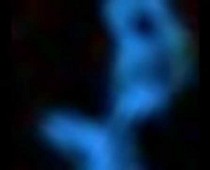 40d597959553c3cbd21a09312a86862d