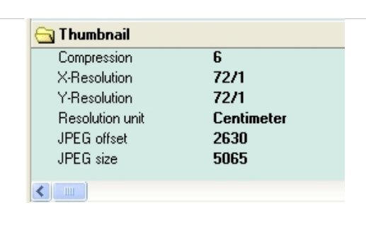 墨西哥玛雅金字塔射出神秘光束(有图有真相) 墨西哥玛雅金字塔射出神秘光束(有图有真相)